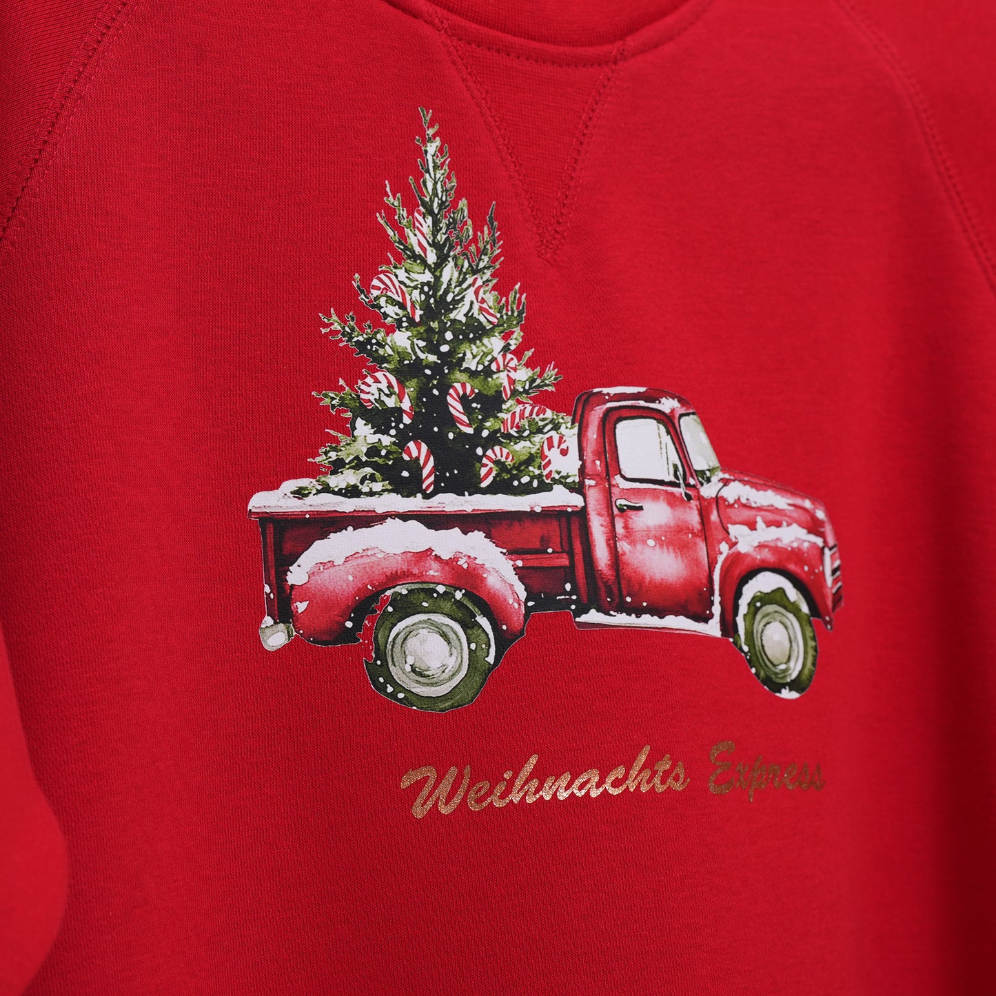 Weihnachtsexpress Pulli