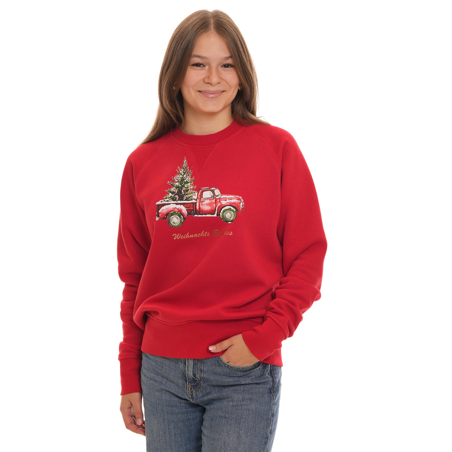 Weihnachtsexpress Pulli
