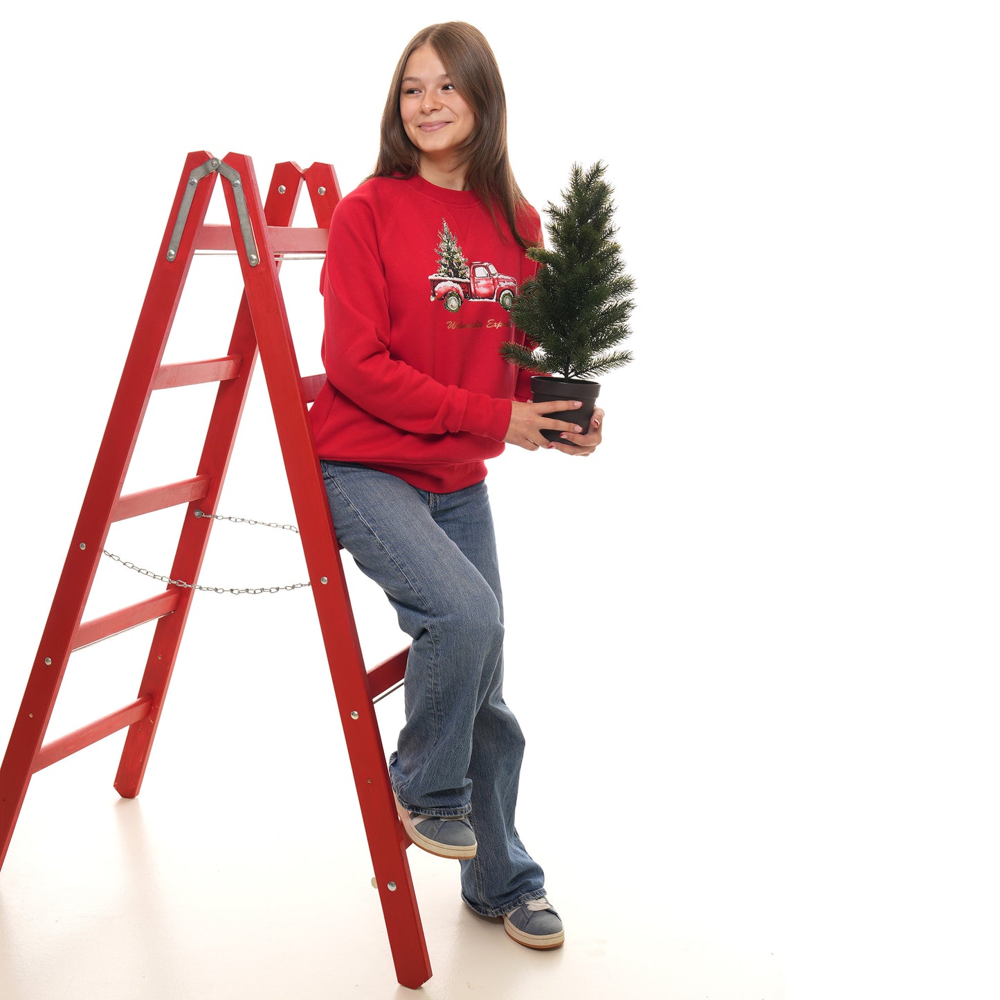 Weihnachtsexpress Pulli